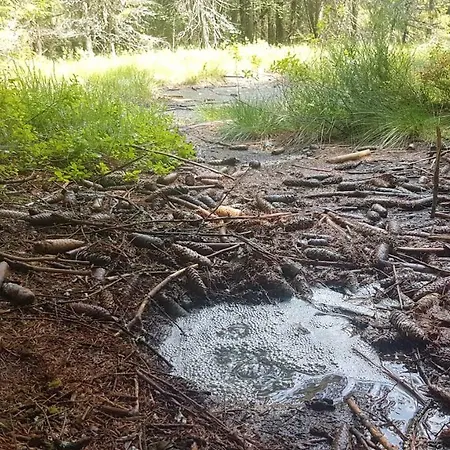 Apartment U Kolonady *