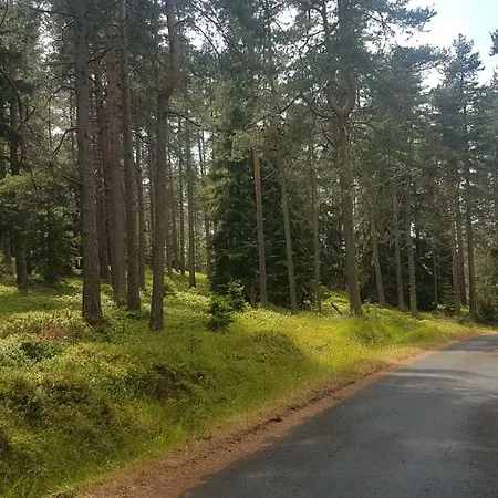 U Kolonady Apartment *