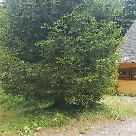 Apartment U Kolonady *