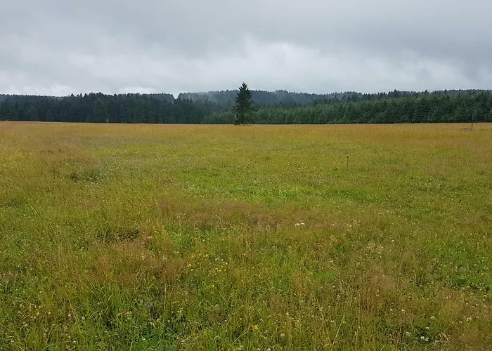 U Kolonady Apartment *