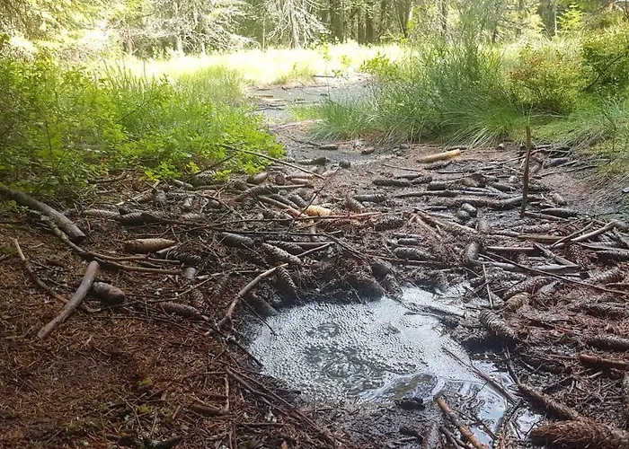 Apartment U Kolonady *