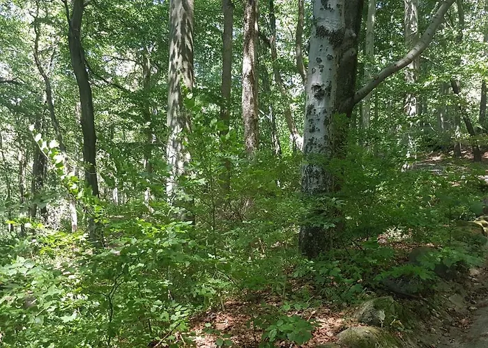 U Kolonady Apartament *