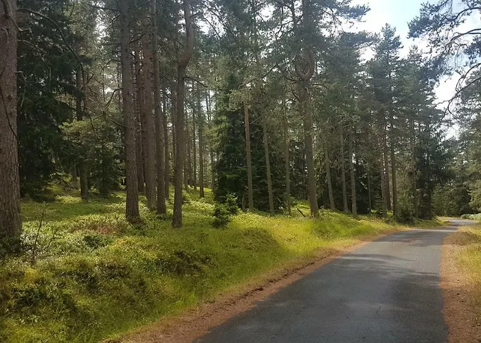 U Kolonady Apartament *