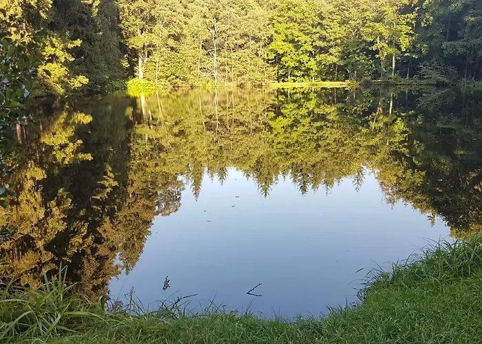 U Kolonady * Mariënbad